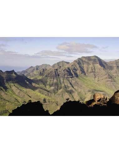 Walking on Gran Canaria 45 day walks including...