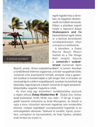 Dubaj barangoló - Berlitz útikönyv - LINGEA
