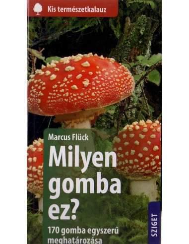 Milyen gomba ez? - Kis természetkalauz