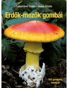 Erdők-mezők gombái