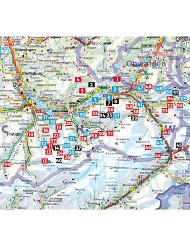 Berner Oberland Ost - Interlaken – Grindelwald...