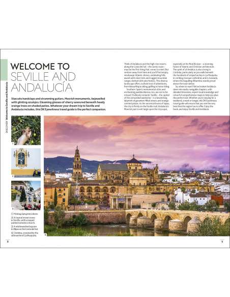 Seville & Andalucía Eyewitness travel guide - Seville és Andalúzia útikönyv