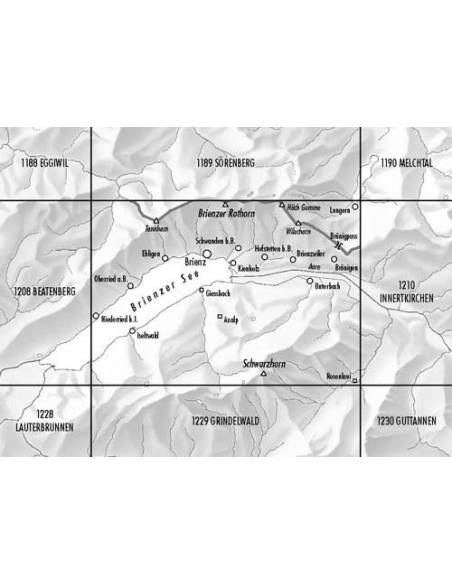 LZ 1209 Brienz topográfiai térkép
