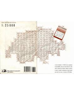 LZ 1306 Sion topográfiai térkép Cns 2