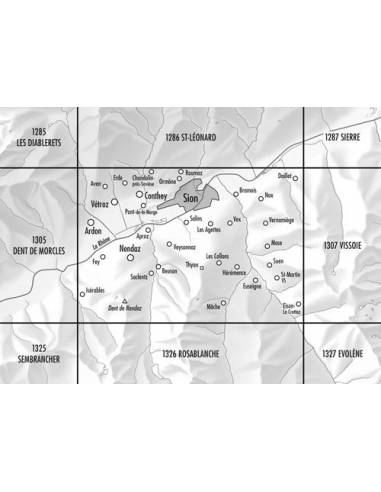 LZ 1306 Sion topográfiai térkép Cns