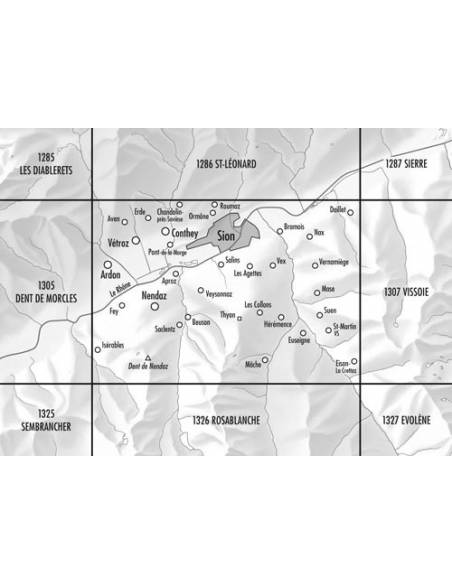 LZ 1306 Sion topográfiai térkép Cns