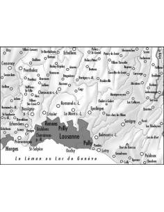 LZ 2507 Lausanne környéke topográfiai térkép Cns